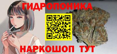 сатива Ачхой-Мартан