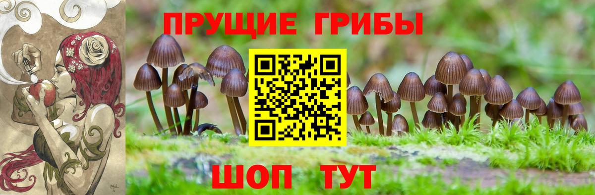 Псилоцибиновые грибы мицелий  где купить наркотик  Ржев  Вход с VPN 
